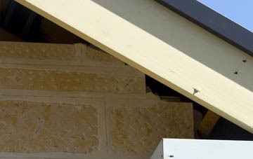 soffit repair Cummertrees